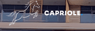 Capriol Construction logo
